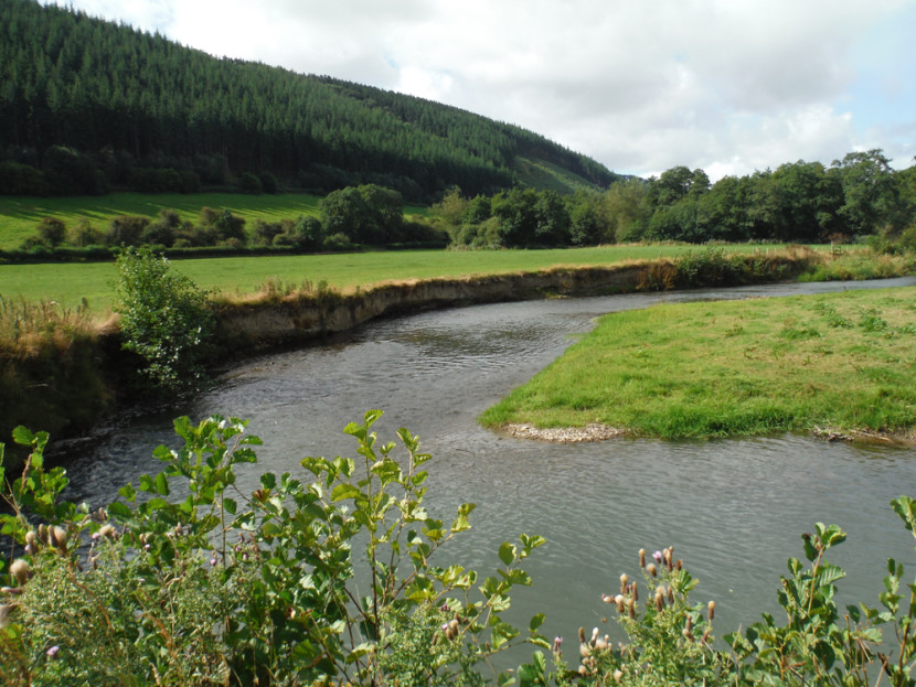 The Lugg at Lyepole